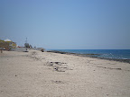 Cholla Bay is a little farther south of Puerto Penasco and might be better situated to anchor a shallow draft boat.