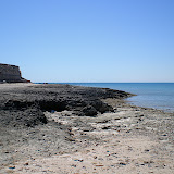 Cholla Bay