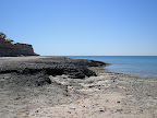Cholla Bay