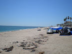 This is the other side of Cholla Bay on the Sea of Cortez side. Lot's of white sandy beaches.