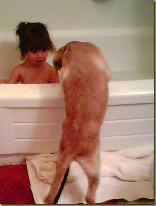 Vienna trying to get into the tub with Mia.  Yep, this pup likes water.