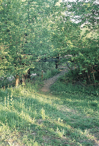 R1-20.jpg