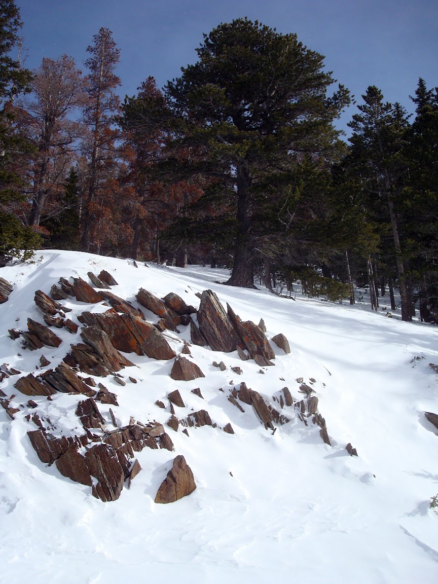DSC08731.JPG