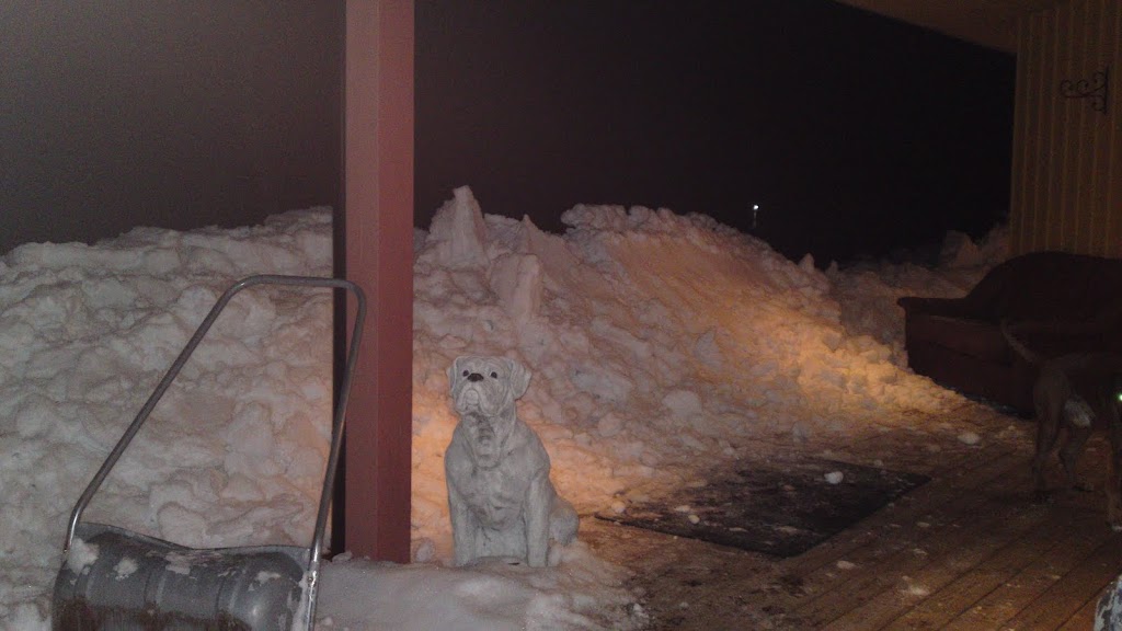 20100309650.JPG