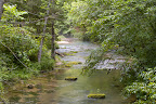 SDIM3431_LR_Import_AutoWB_AutoTone.jpg