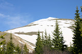 IMG_8289.JPG