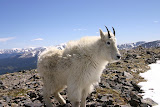 IMG_8354.JPG