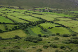 IMG_9699.JPG