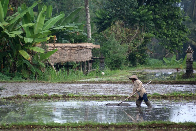 [DSC07887_modifi17.jpg]