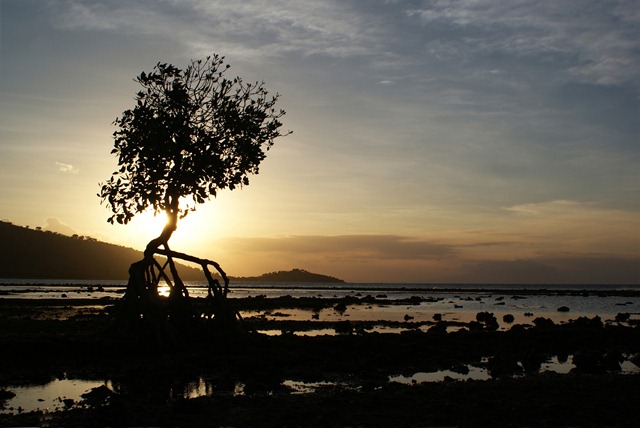 [pemuteran plage[7].jpg]