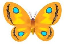 [butterfly yellow[12].jpg]