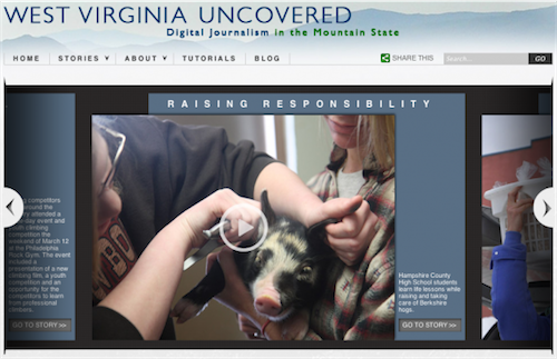 picture-12-600x387 1.png