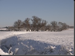 Dec-2010 004