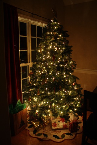 [12 13 09 December Pics 139[7].jpg]
