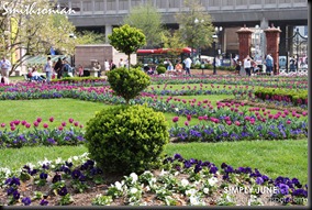 Smithsonian7