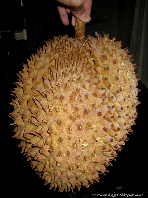 [Durian10.jpg]