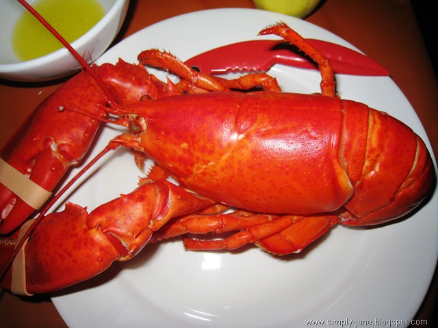[Lobsters[5].jpg]