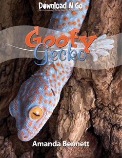 [GeckoCoverSM[3].jpg]