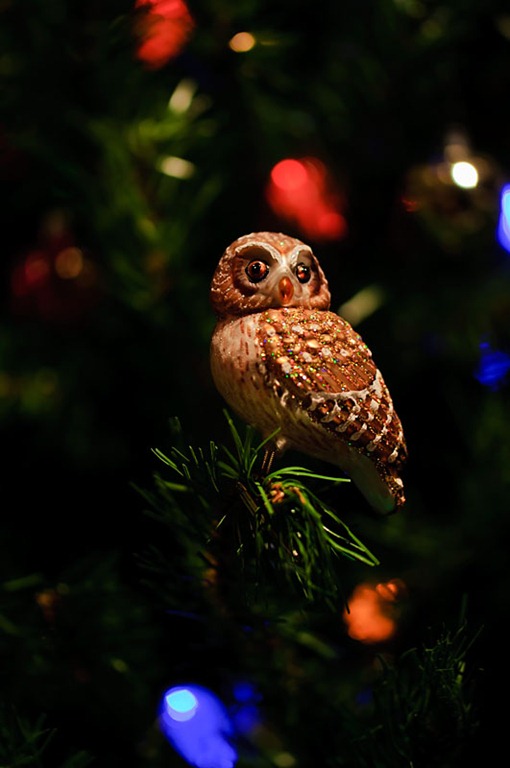 [Owl_Ornament[4].jpg]