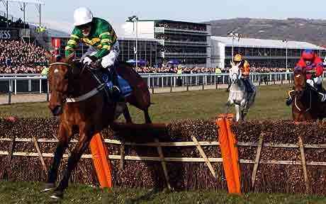 J P McManus had critical purpose in Binocular Champion Hurdle success
