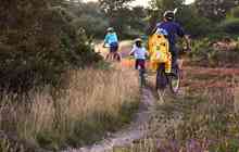 Family cycling along heathland marks at sunset, Dorset
