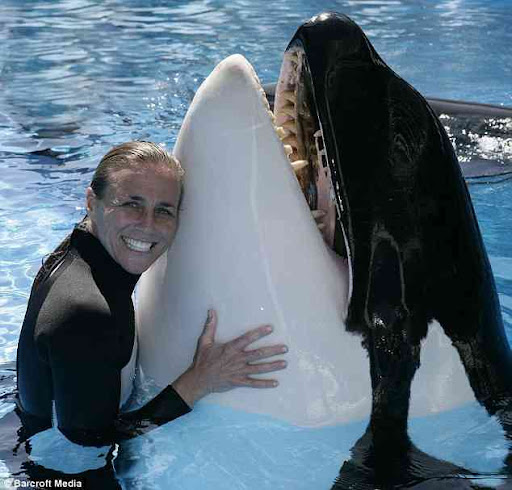 Hug of love: The orca seems in witty mood