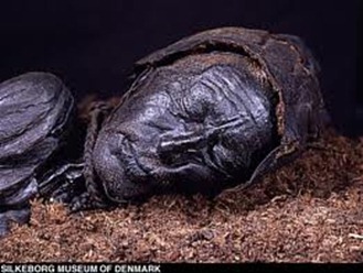 bog bodies bog bodies