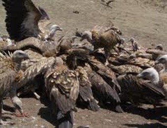 sky burial sky burial