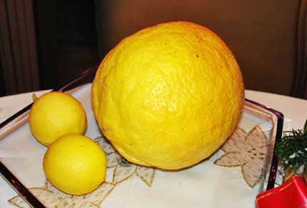 limun