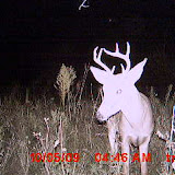 MDGC0124.JPG