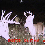 MDGC0125.JPG