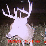 MDGC0127.JPG