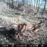 big 8 pt 3.jpg