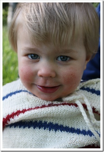 IMG_0513 IMG_0513