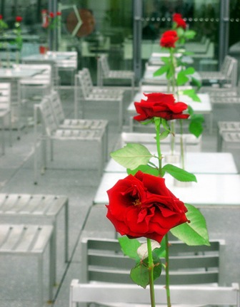 pompidou restaurant rose