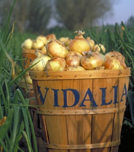 vidalia_onions