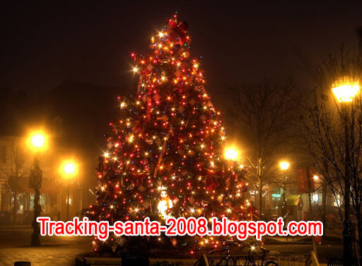 http://lh6.ggpht.com/_HLOSCqtpFFQ/ST5pm2J4DGI/AAAAAAAABfE/npOdZBIhfVw/christmas_tree_pictures_05.jpg