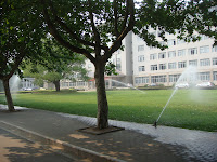 DSC00701.JPG