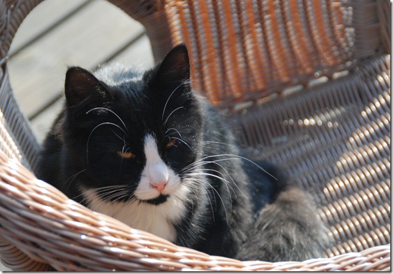 DSC_3266_2695 DSC_3266_2695