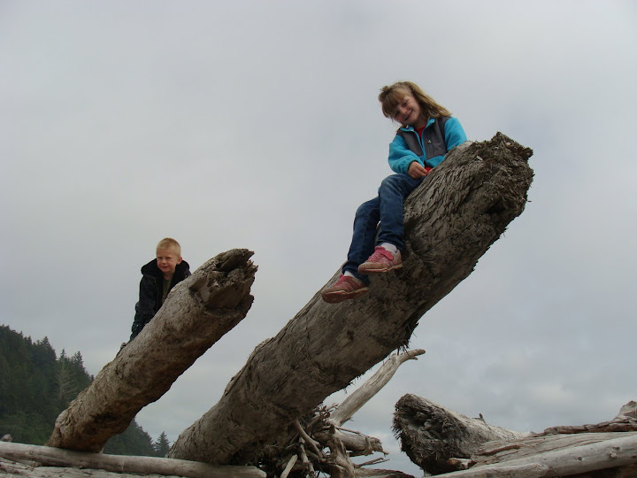 Driftwood fun