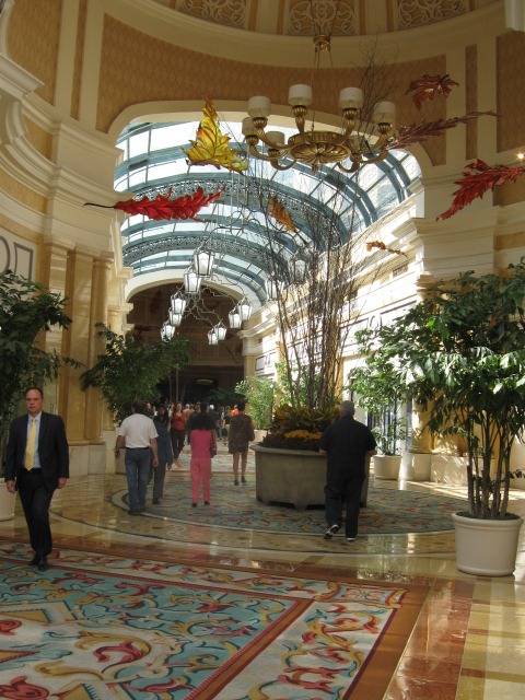 [IMG_2449[4].jpg]