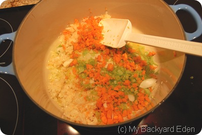 lentil soup 004 lentil soup 004