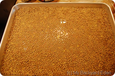 sort the lentils sort the lentils