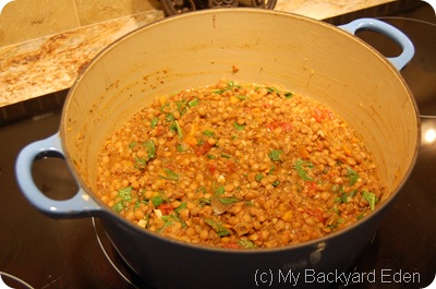 lentil soup lentil soup