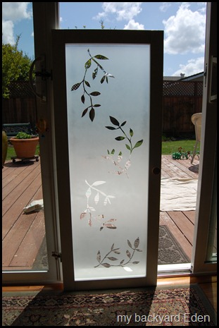 Frosted Glass Window Frosted Glass Window