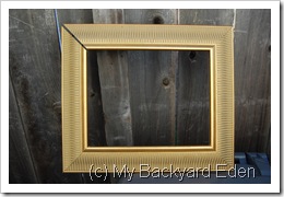 thrifty frame
