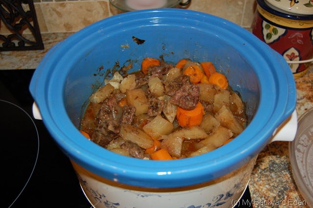 [beef stew 005[22].jpg]