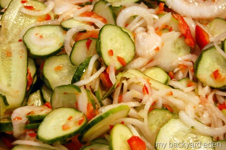 Veggies for pickles