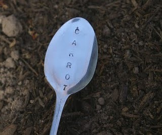 [carrotspoon[1][8].jpg]