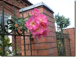 PA190935 PA190935